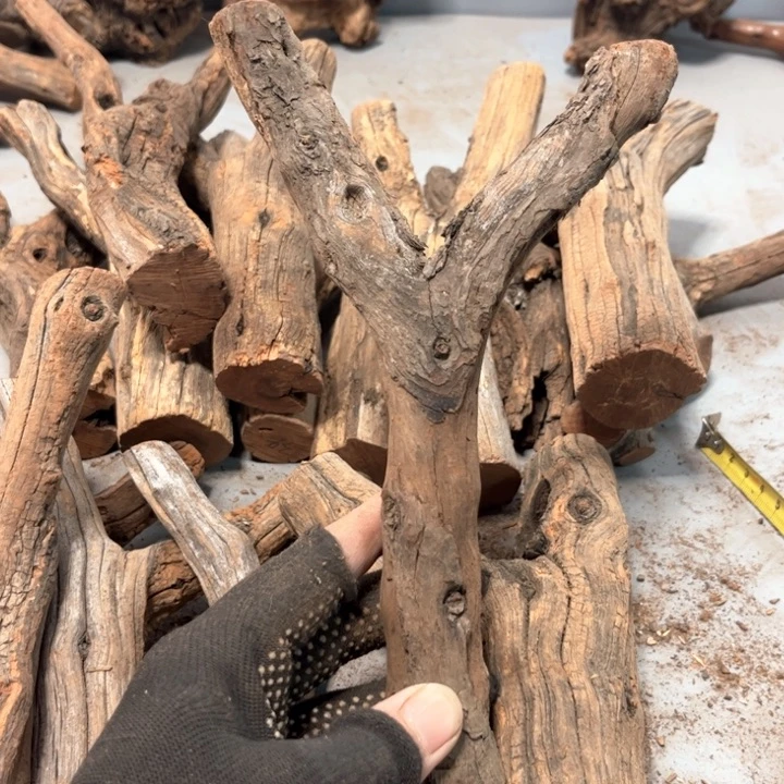 八***财大果紫檀（缅甸花梨）