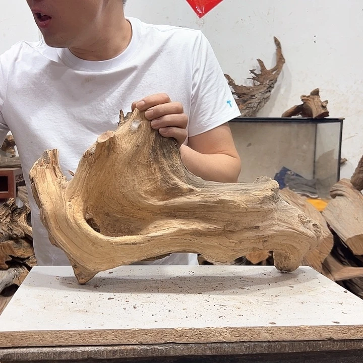 柏木正****馆我们的生活也是如此的丰富