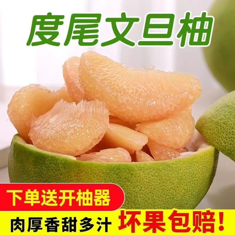 小果福建度尾文旦柚红心无籽蜜柚新鲜应季孕妇水果酸甜多汁好吃