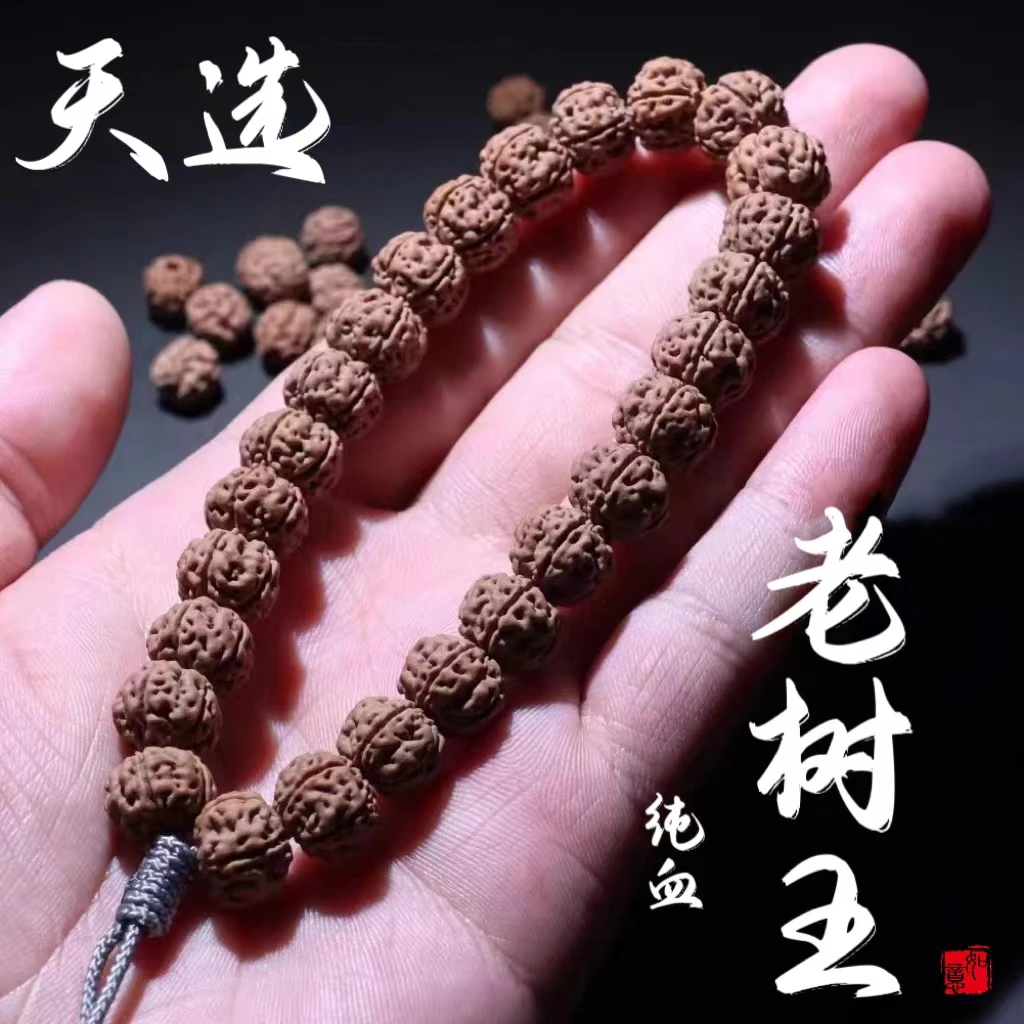 精品南瓜矮桩树王小金刚菩提子手持单圈文玩手串佛珠一代龙满肉