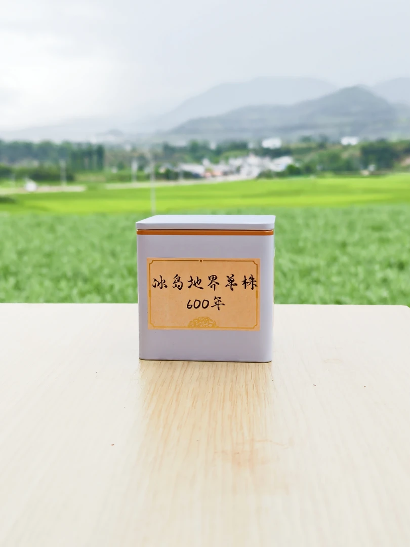 2024年头春【冰岛地界核心地块600年古树单株·野兰香】生茶8g/罐