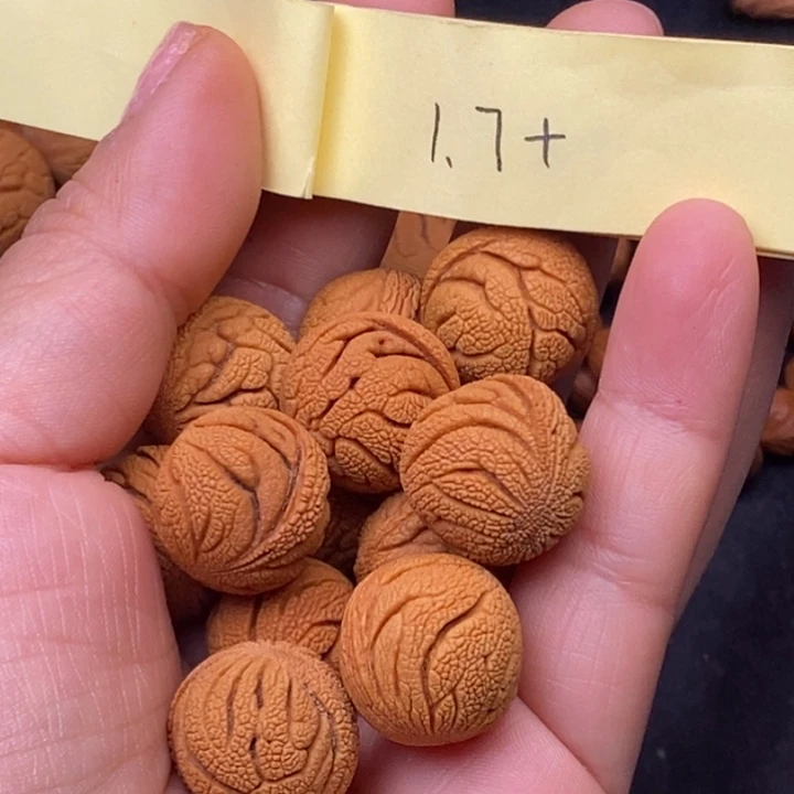 秦岭龙纹桃核15颗