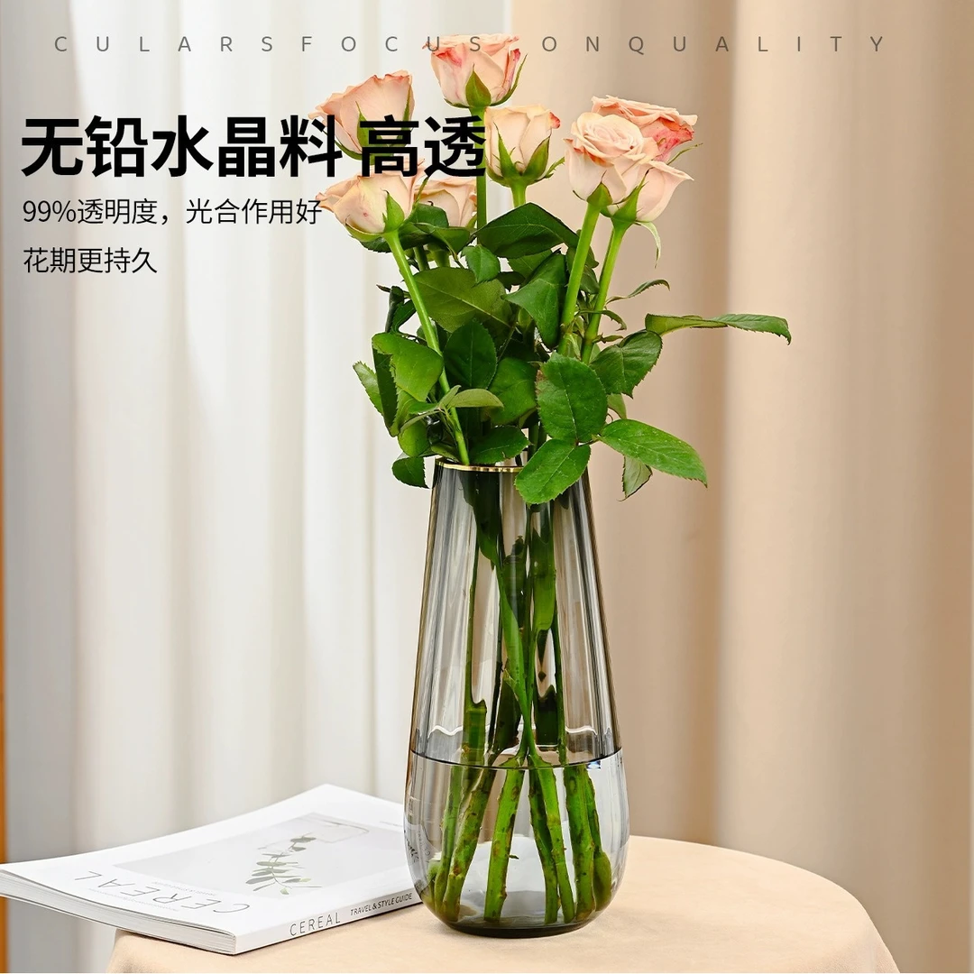 GOYN花瓶摆件客厅插花轻奢高级感透明玻璃水培鲜花玫瑰花专用网红