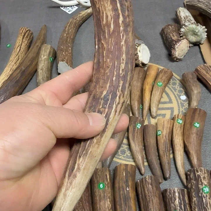一***二香榧木鹿角工艺品原料