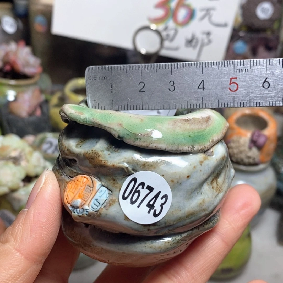 花盆拍3送一个小礼物