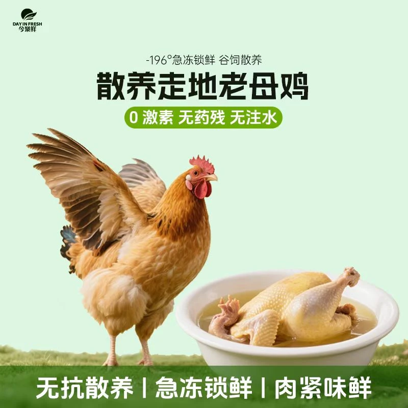 【无抗土鸡】肥西老母鸡谷饲喂养走地鸡 单只约2.5斤 一只装/两只装