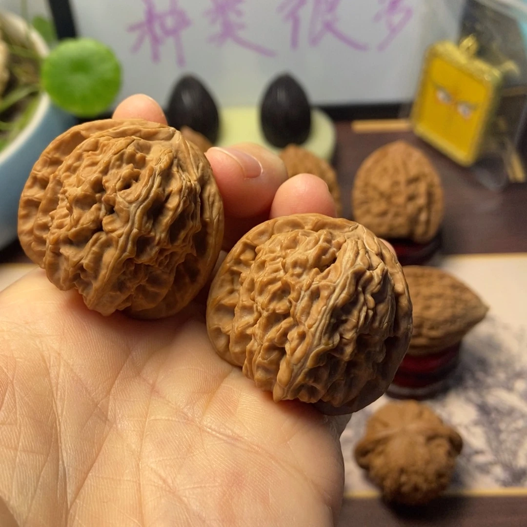 把件文玩核桃全品白狮子尺寸38