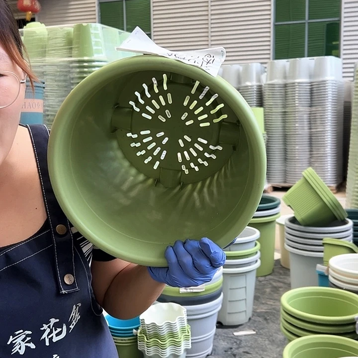 四季盆5#果绿色6个无托