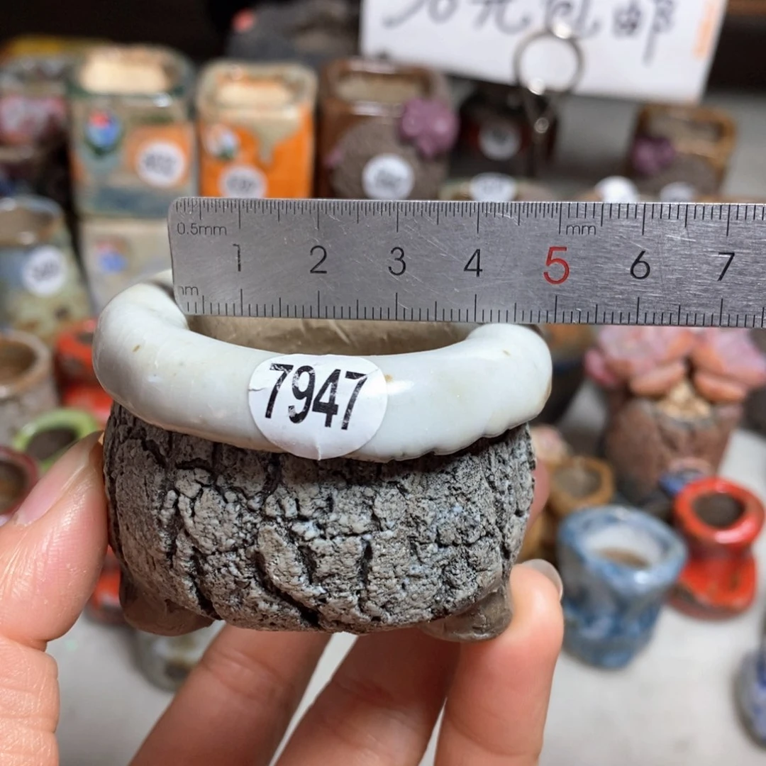 花盆特价，不退不换的