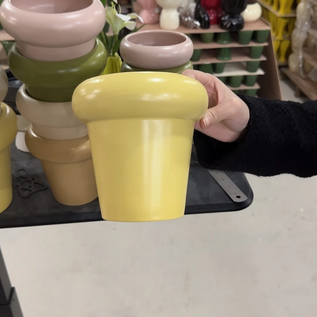 中号花盆花盆花盆