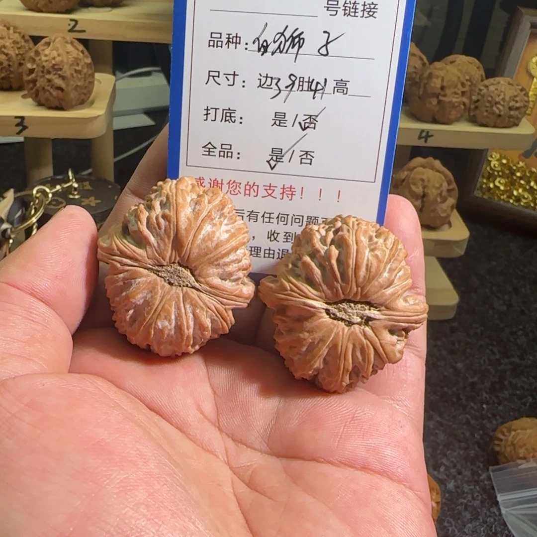 把件文玩核桃全品无修凹底白狮子