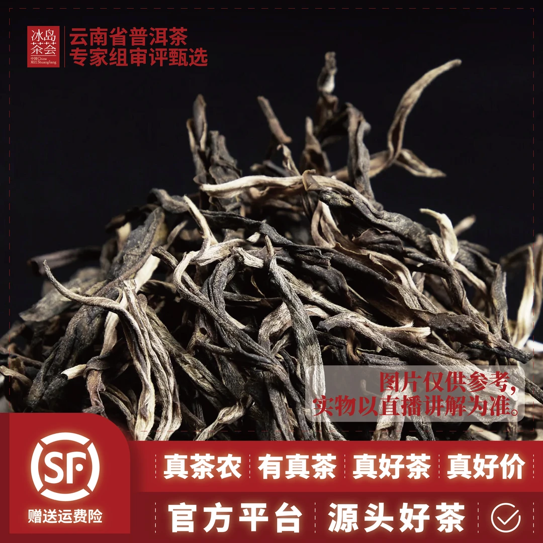 编码10-15/2024年公弄村晒青茶春茶散茶