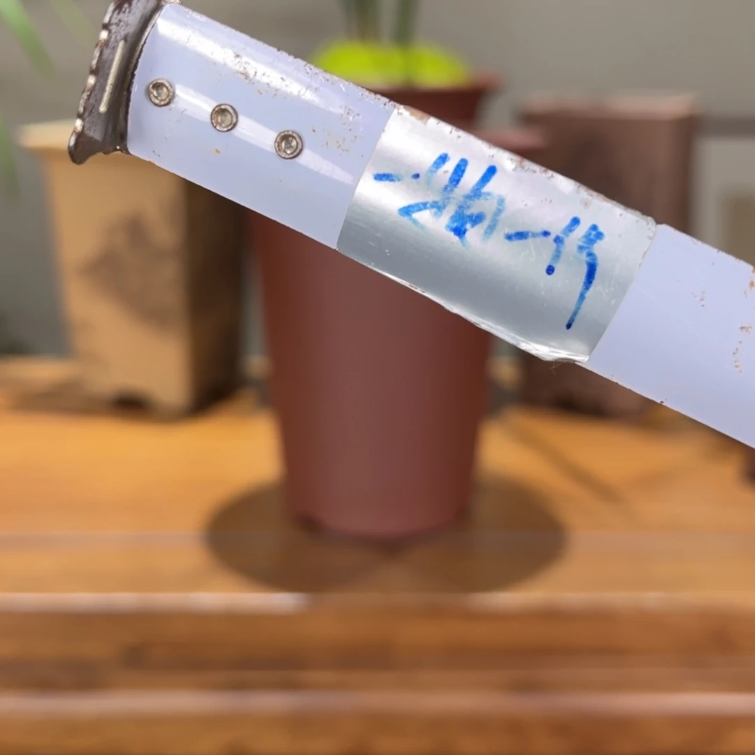 星***星高温正宗手工花盆