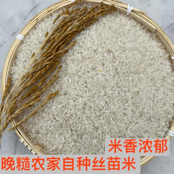 埃琳娜精选广西农家大米自种丝苗香米晚糙大米