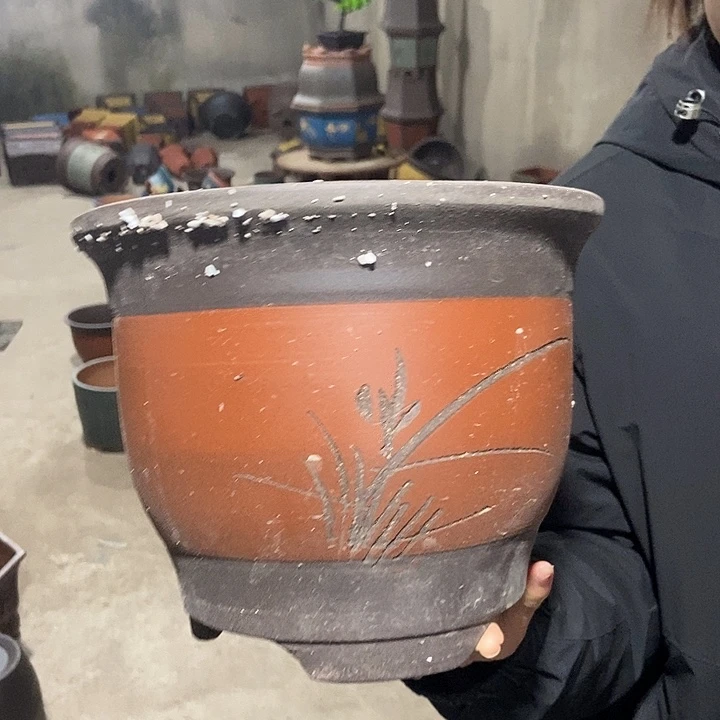 花盆花盆花盆花盆花盆花盆花盆