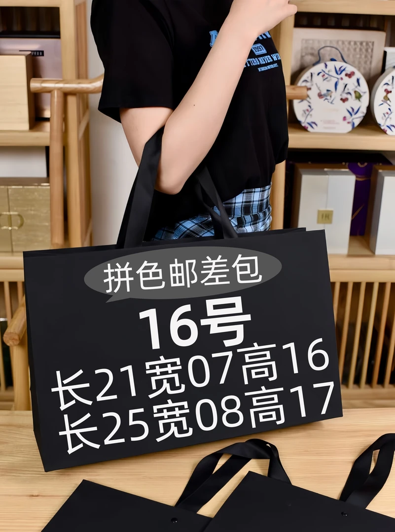 【16号】2025新款休闲时尚百搭轻奢爆款拼色单肩手提斜邮差女包包