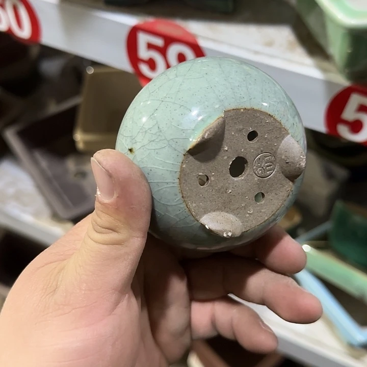 这一期太有意思咯好棒好可爱呀太喜欢这两期节目