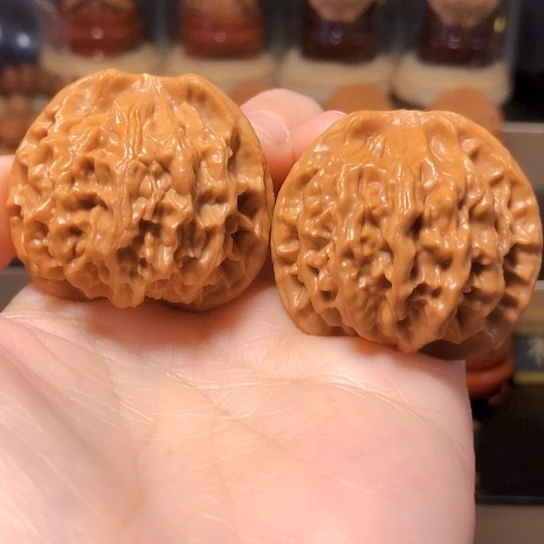 秦岭野核：秦公子全品