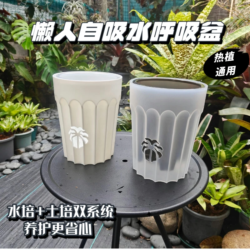 组合呼吸盆蝴蝶兰专用花盆自吸水花盆控根盆透气花烛海芋热植花盆
