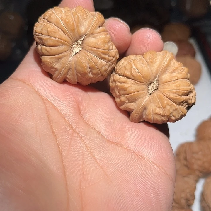 木42大肚全品南瓜敦。