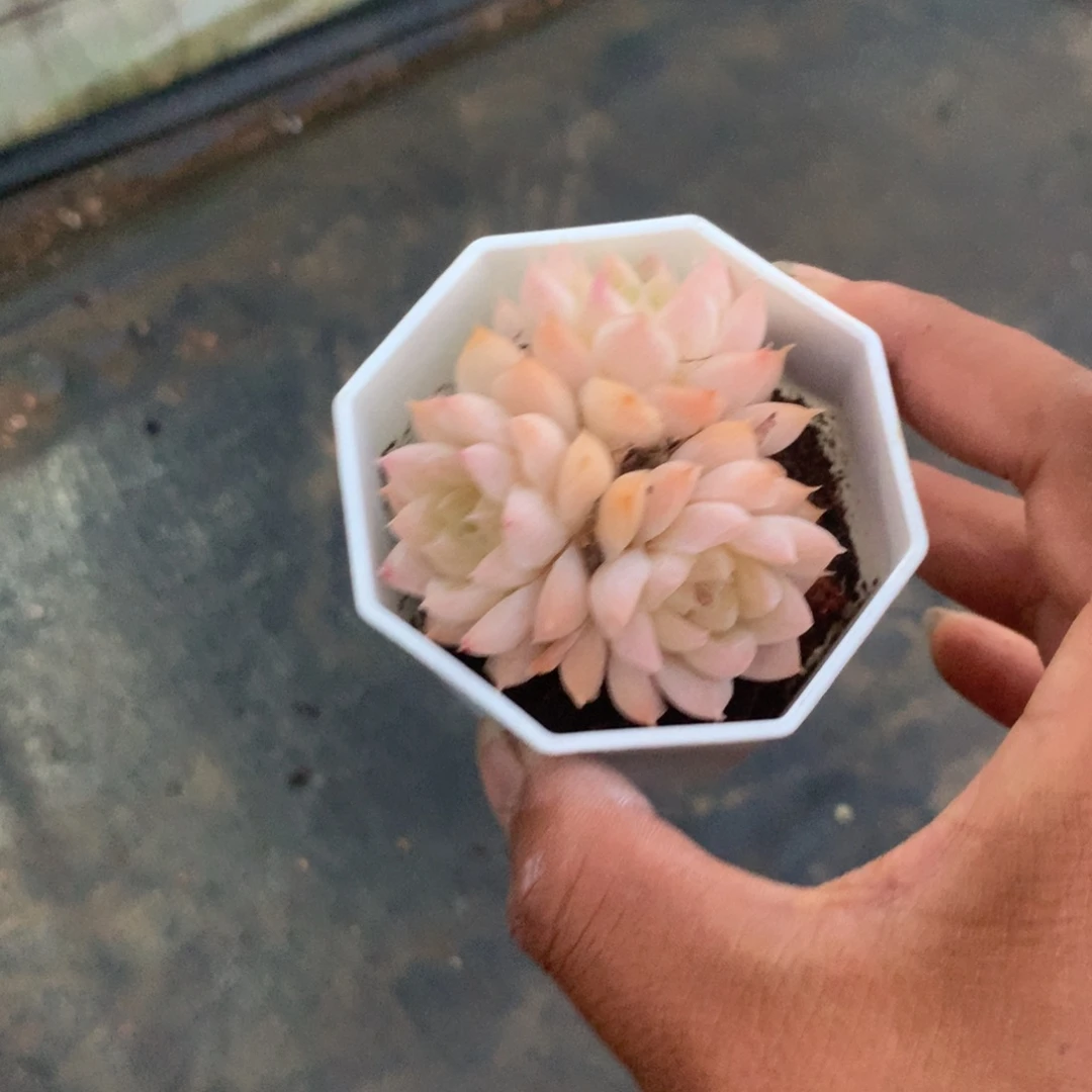 那时候是在家里做手工时