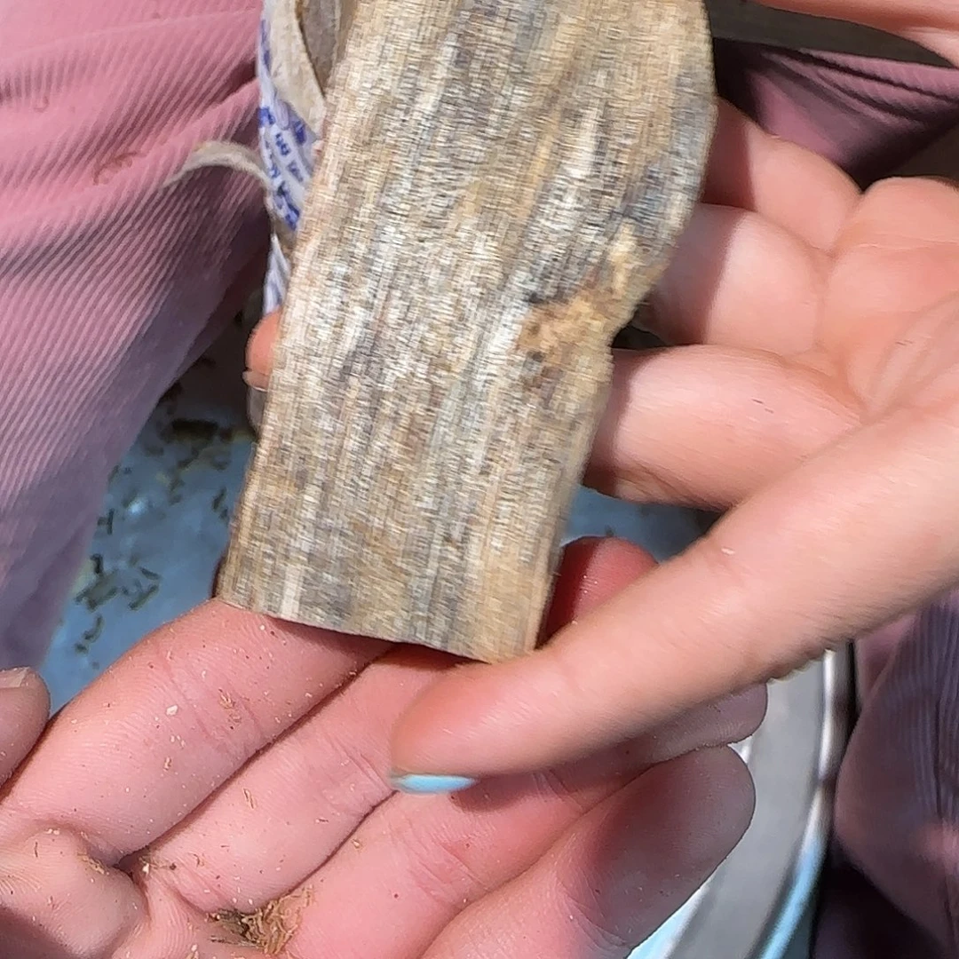 沉香碎屑沉香乌身