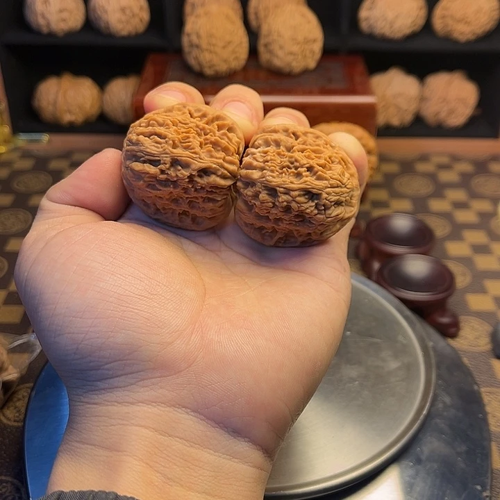 大叶紫檀（黑酸枝木类）