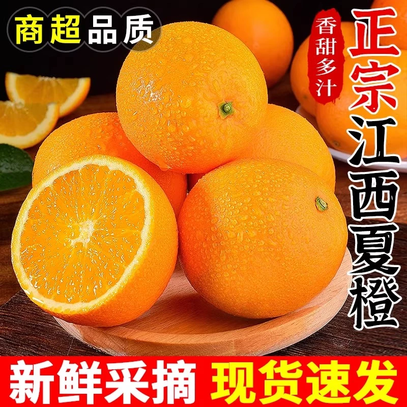 正宗江西夏橙黄肉橙新鲜采摘橙应季水果现摘果冻橙冰糖甜橙包邮