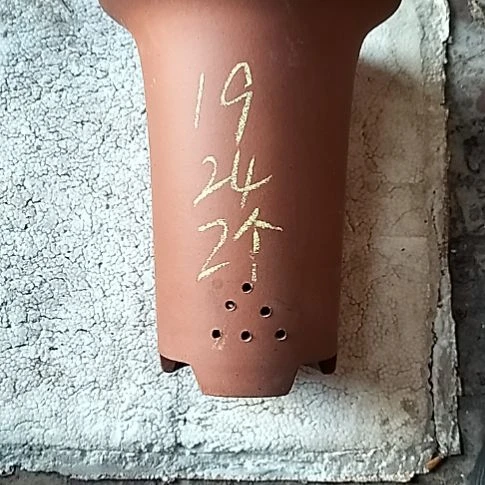 大红兰花两个花盆