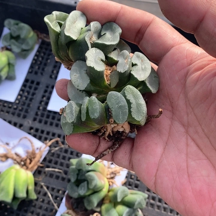 默**了1310。 福利。