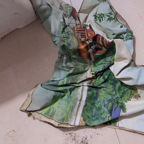 香榧木柳**石Vnfjgjvhgbchvvvb