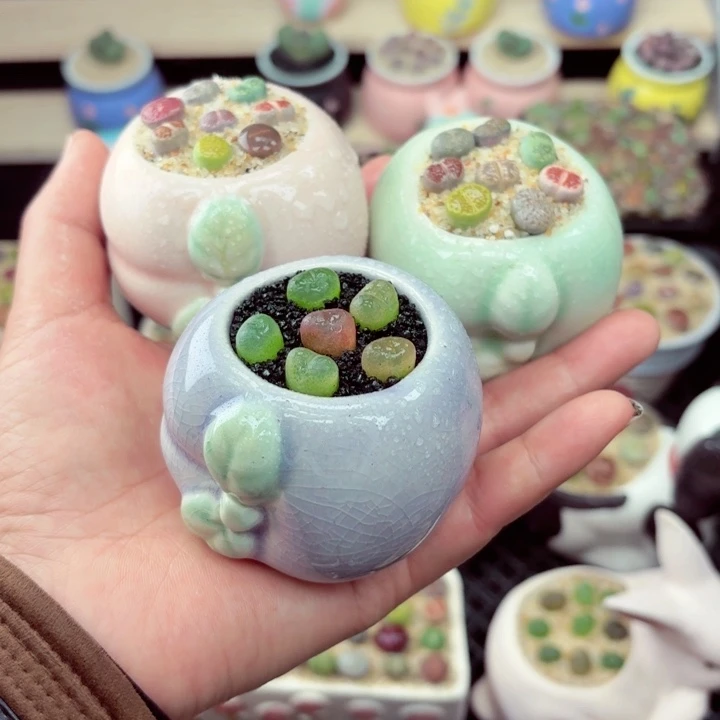 541零下地区记得拍保温箱