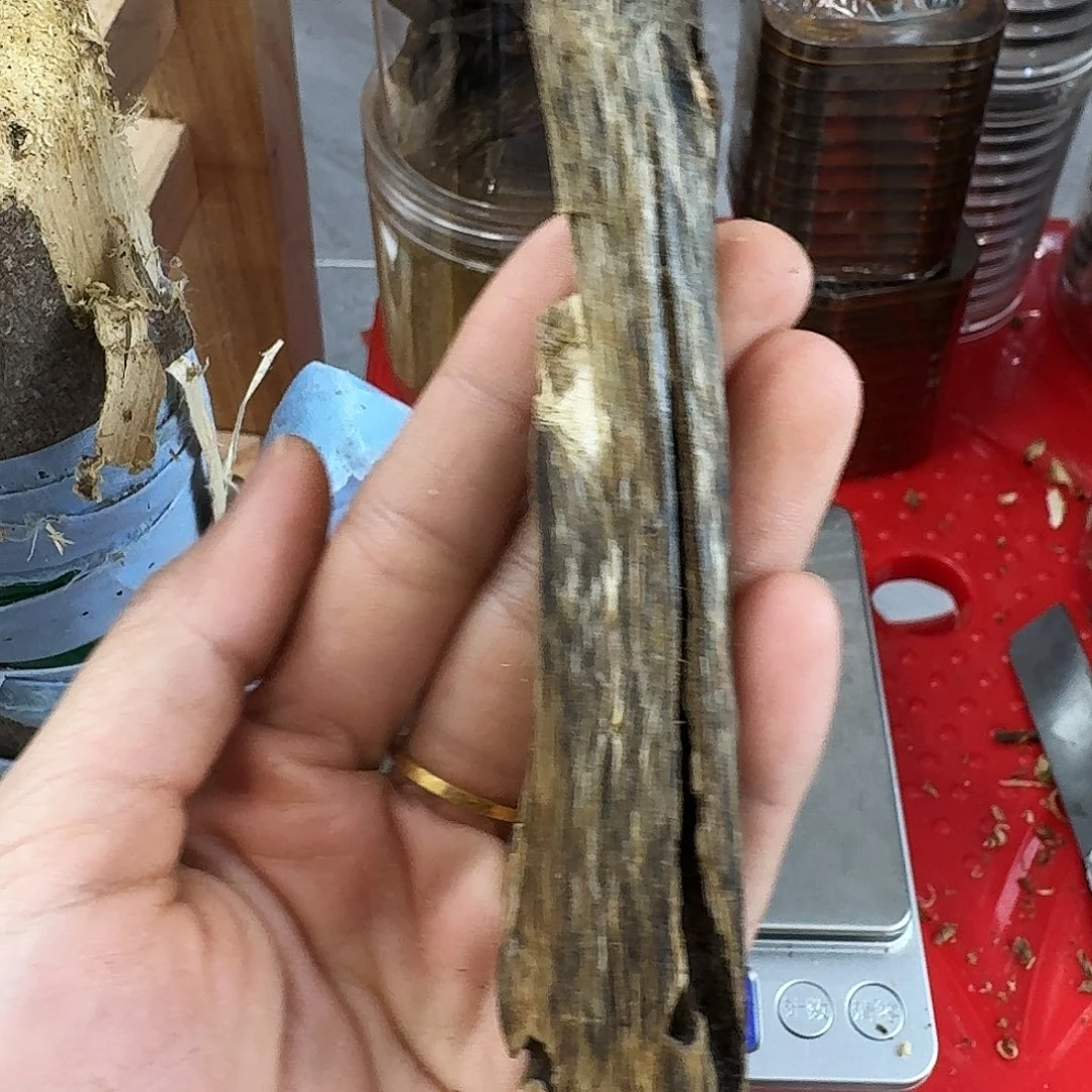 香料绿奇楠虫漏张勺子9克