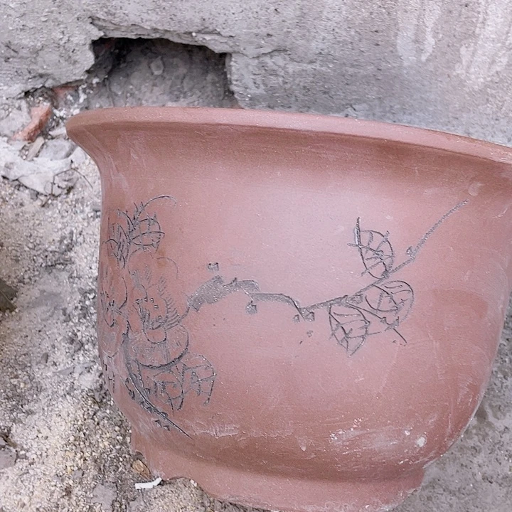 红陶30平角金钟佳品