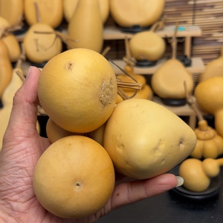 ?**你2333225666696666996