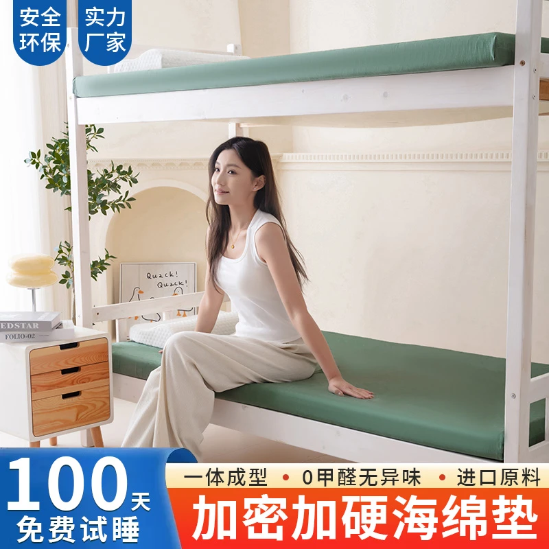 软硬适中款45D海绵垫  海绵床垫   榻榻米垫  海绵床垫定制