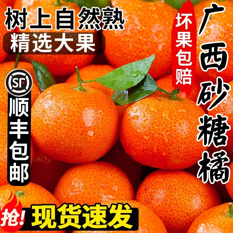 【小胖专属】广西砂糖橘净重5斤，顺丰包邮
