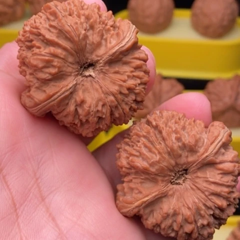 137狮子头40全品