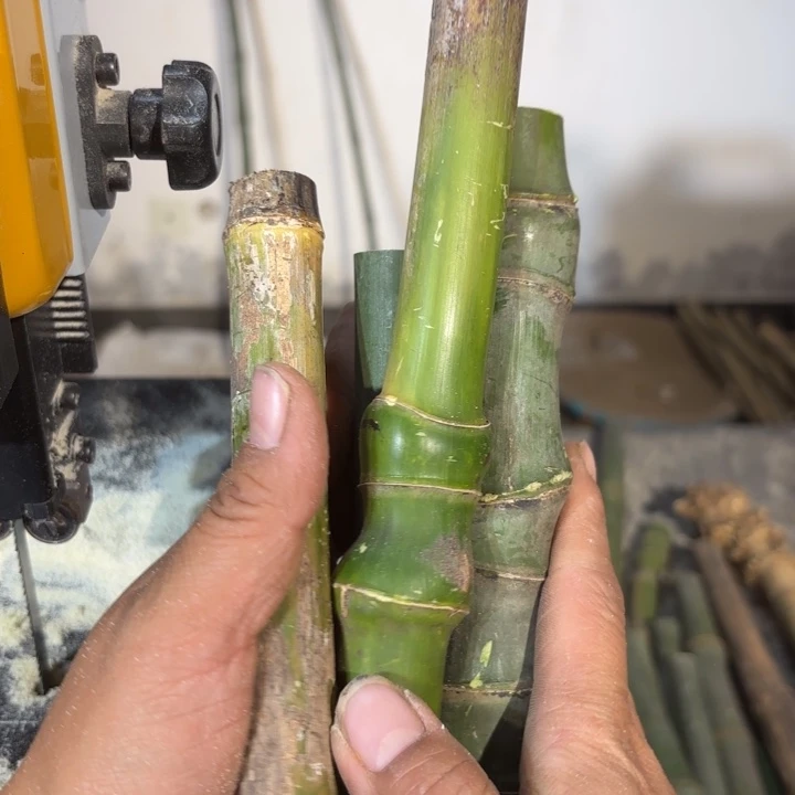 竹围*实心竹竹竹竹竹竹竹竹竹