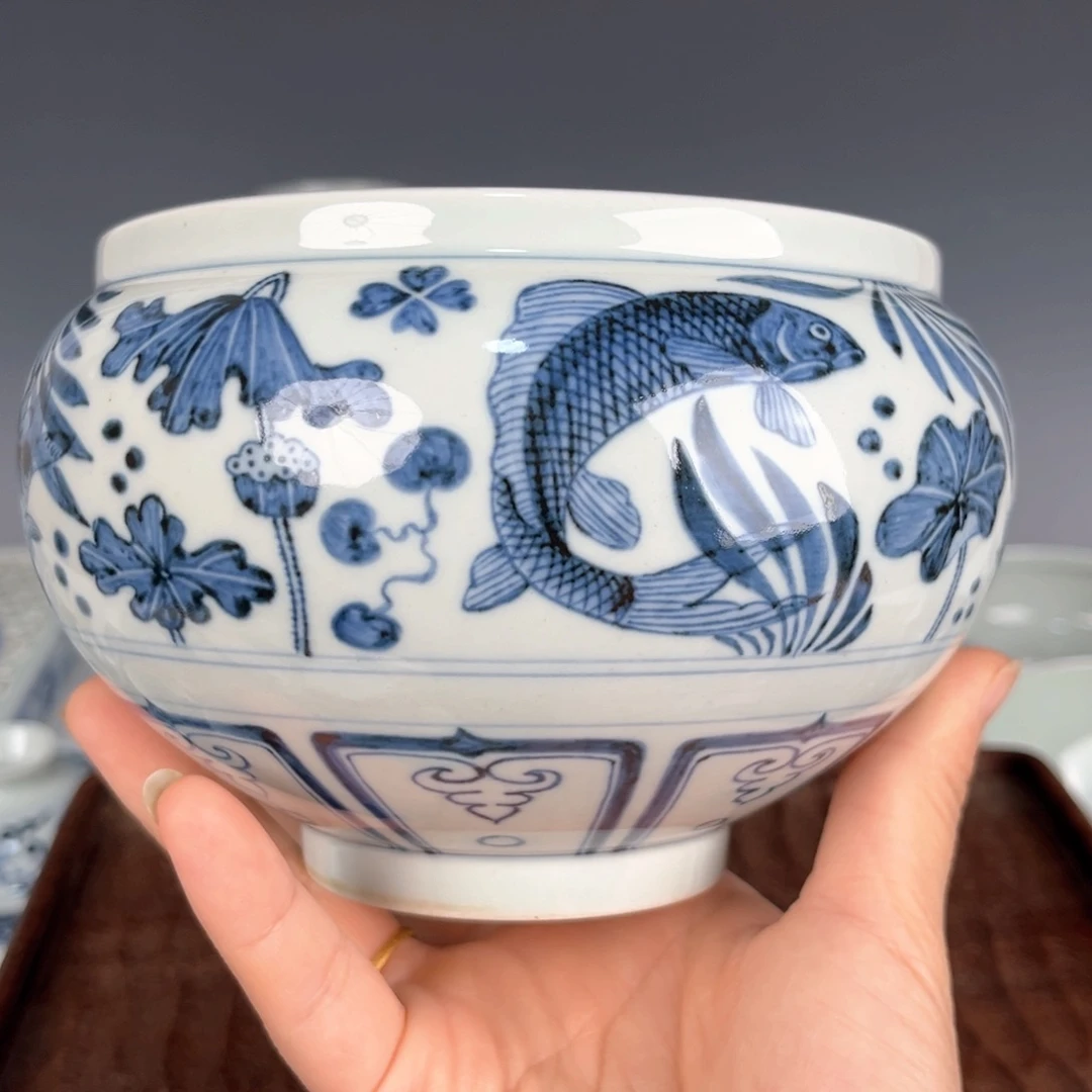 特价吸烟鱼藻纹水洗