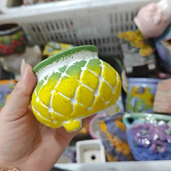 当场拍满15元包邮发货，金额不够发泡沫不发花盆，不凑单真亏钱请别