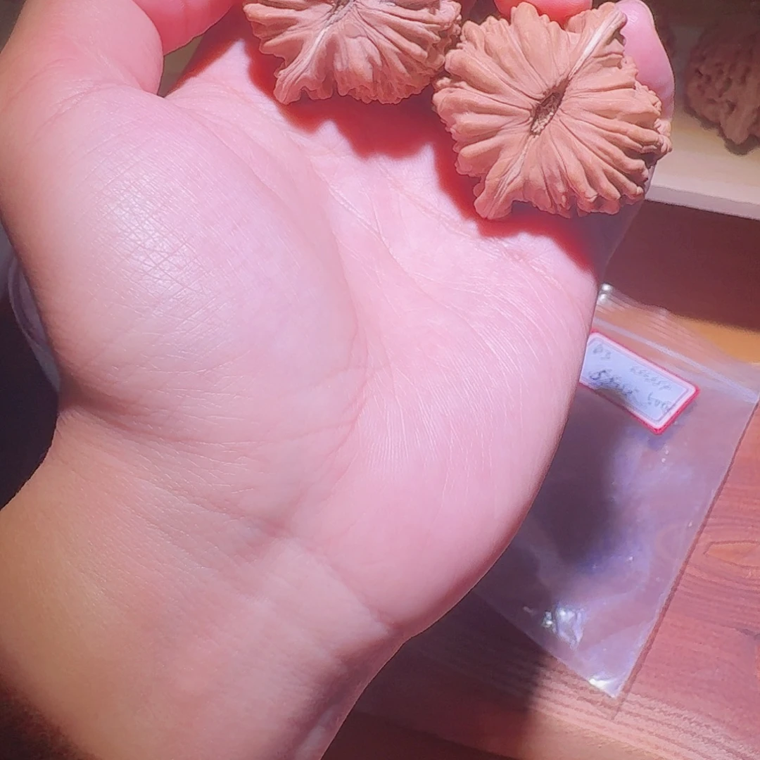 冠***饰43全品无修完美四座楼