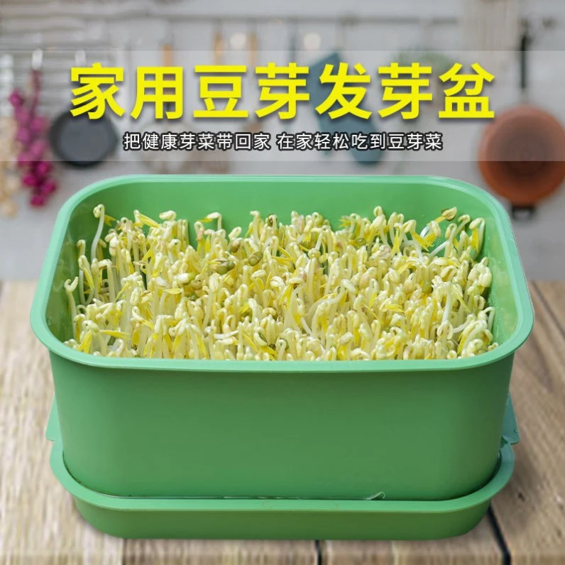 豆芽发芽好物搭档盆水培黄豆芽育苗盘绿豌豆大号家用豆芽罐