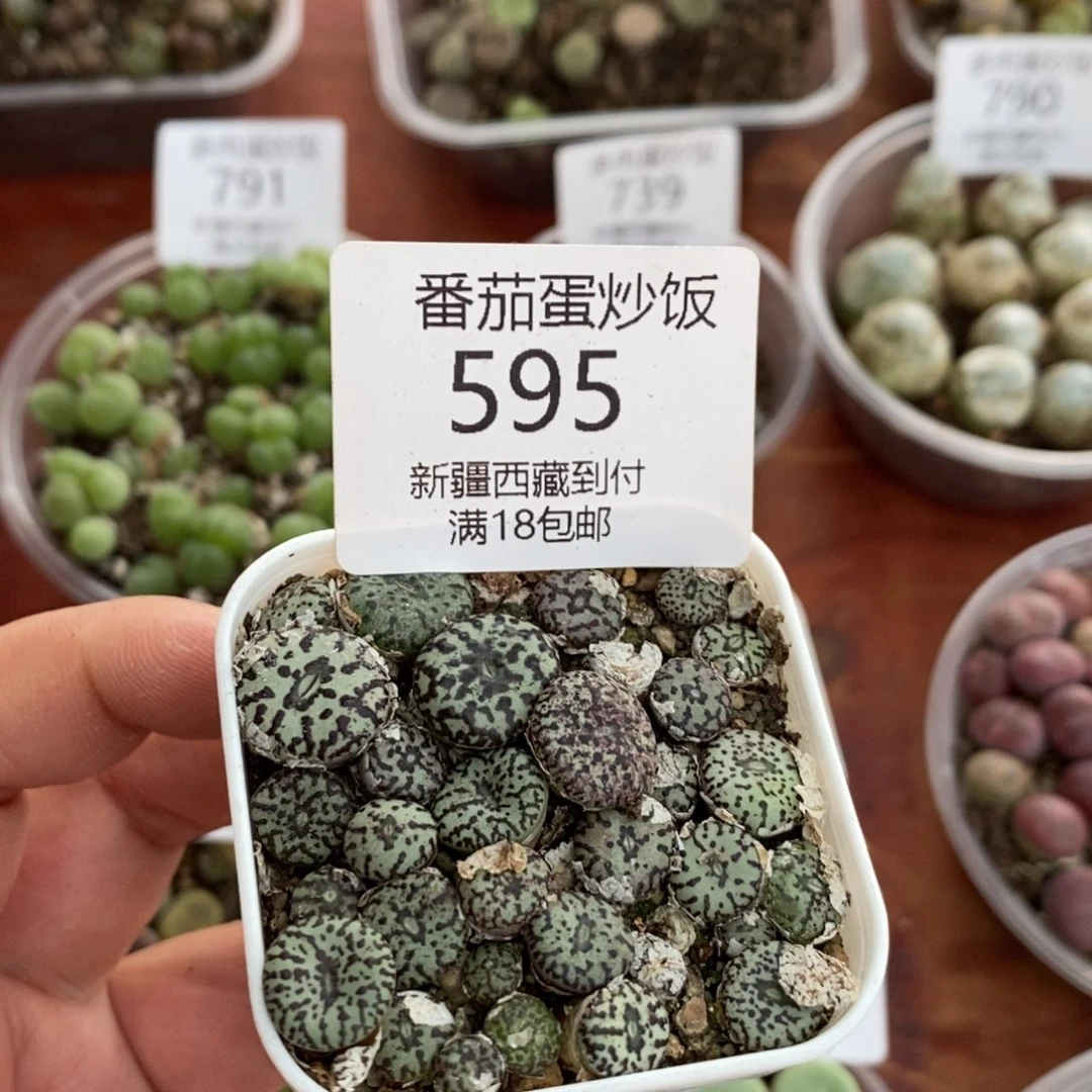 感谢您的支持，00595