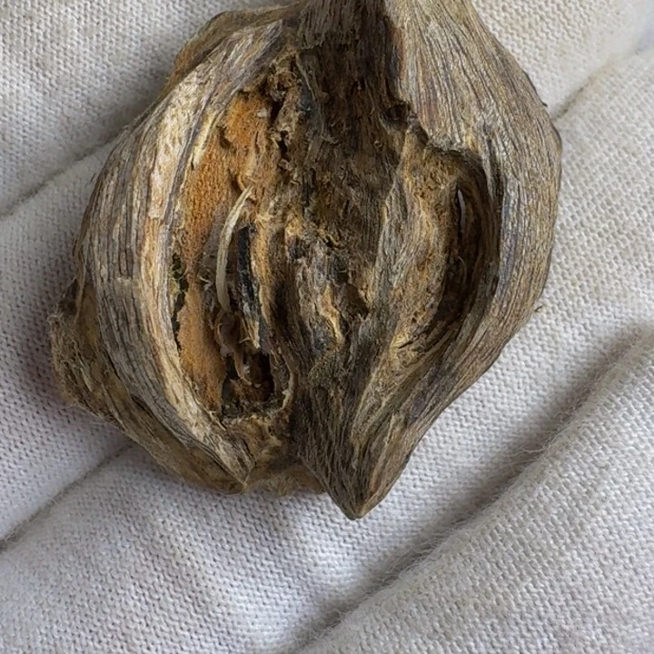 沉香沉香木制品广西虎斑棋2.2克