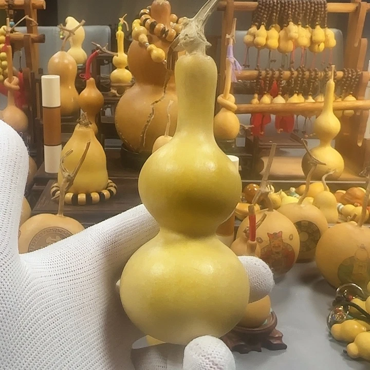 昊阳精品葫芦直播间