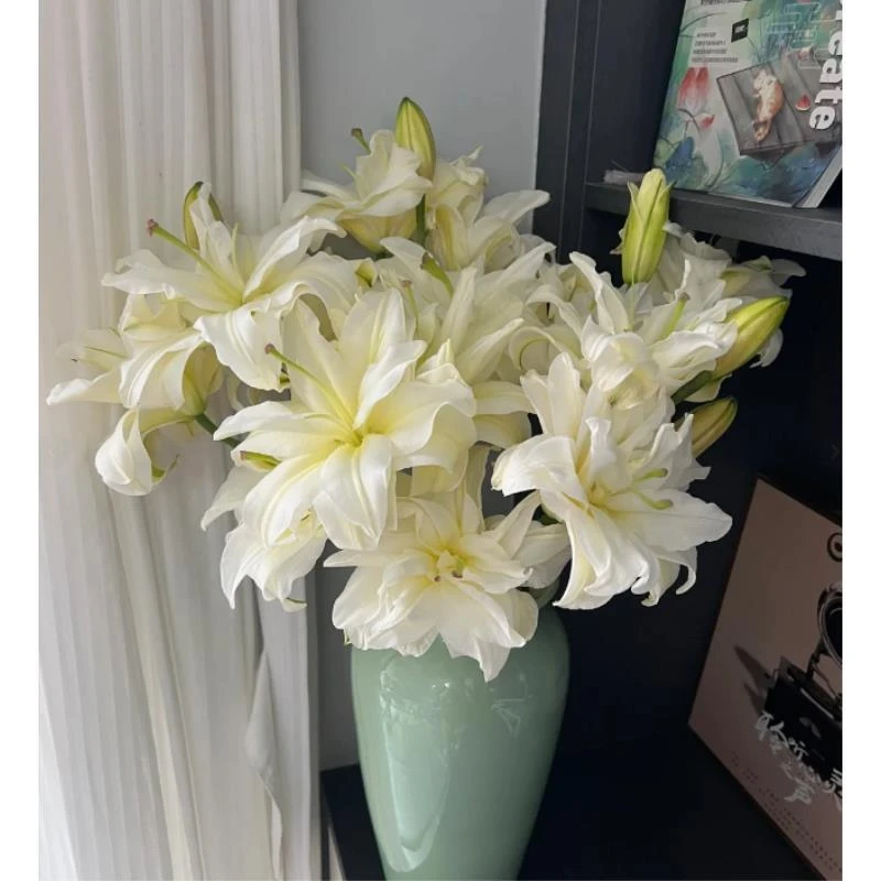 2头奶油重瓣百合--【实物以直播间展示为准】