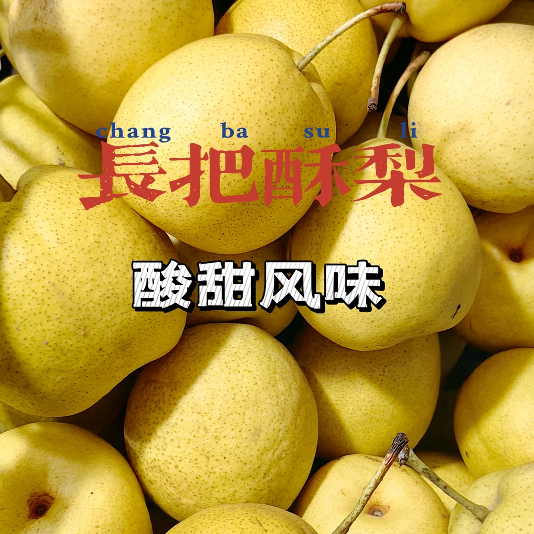 酸甜风味解腻爽口正宗富平酥梨当季水果皮薄脆爽