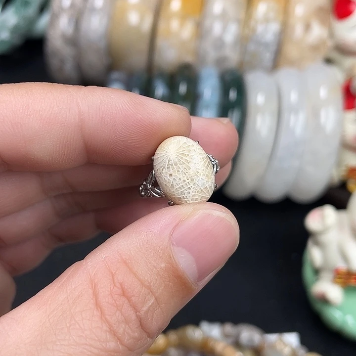 硅化珊瑚（珊瑚玉）未镶嵌吊坠(不含链)