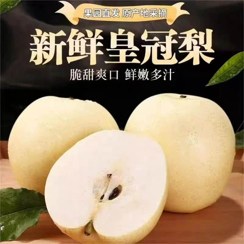 正宗皇冠梨子新鲜水果当季水果鲜甜细腻皮薄汁水河北皇冠梨